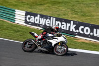 Lower Group White Bikes